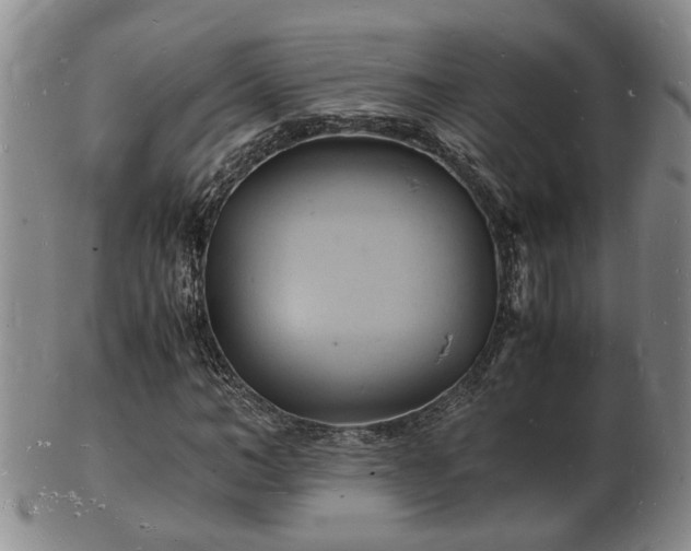 X0000103290966200809051456