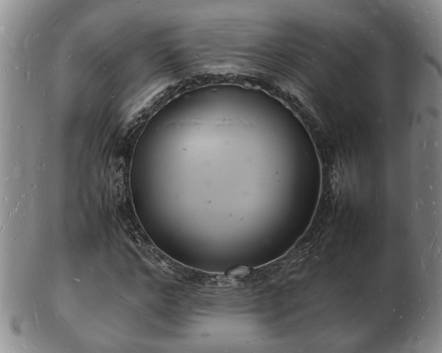 X0000103290968200809051456