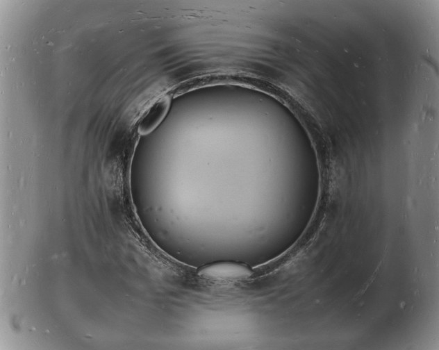 X0000103290969200809051456