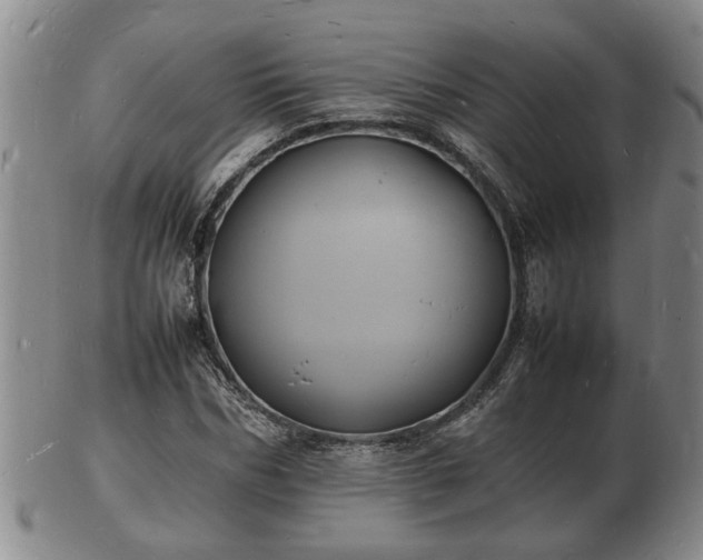 X0000103290970200809051456