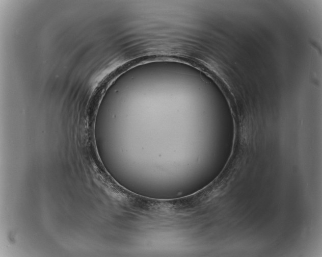 X0000103290971200809051456