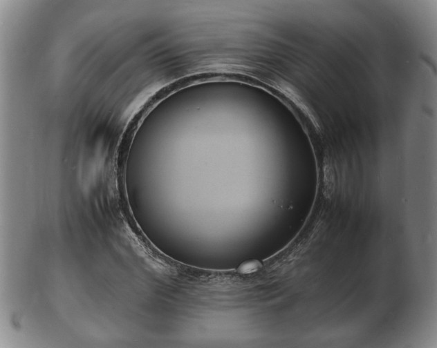 X0000103290972200809051456