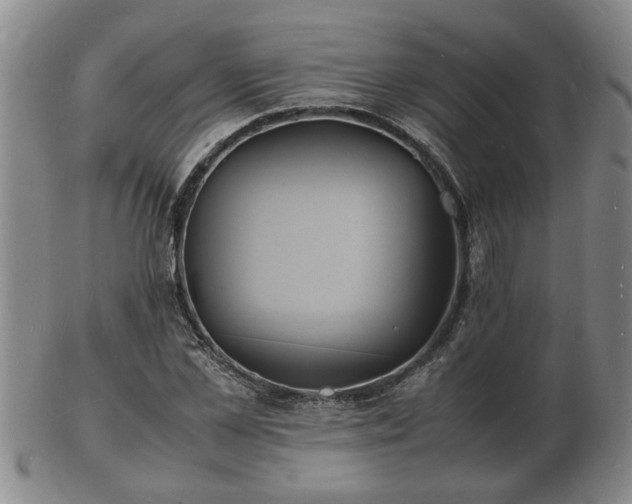 X0000103290973200809051456