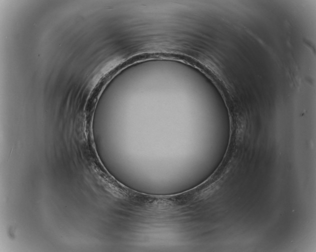 X0000103290974200809051456