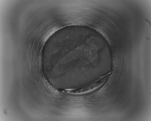 X0000103290975200809051456