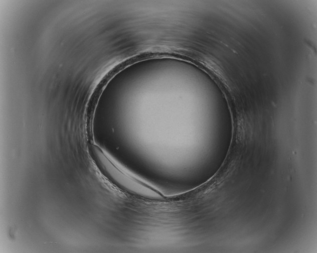 X0000103290976200809051456