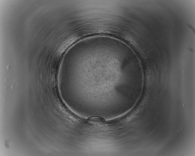 X0000103290977200809051455