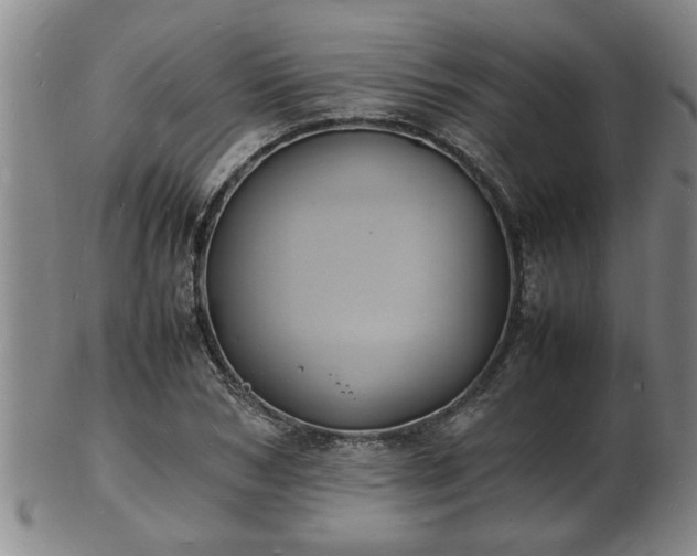 X0000103290978200809051455