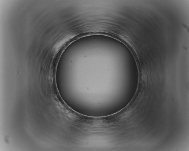 X0000103290979200809051455