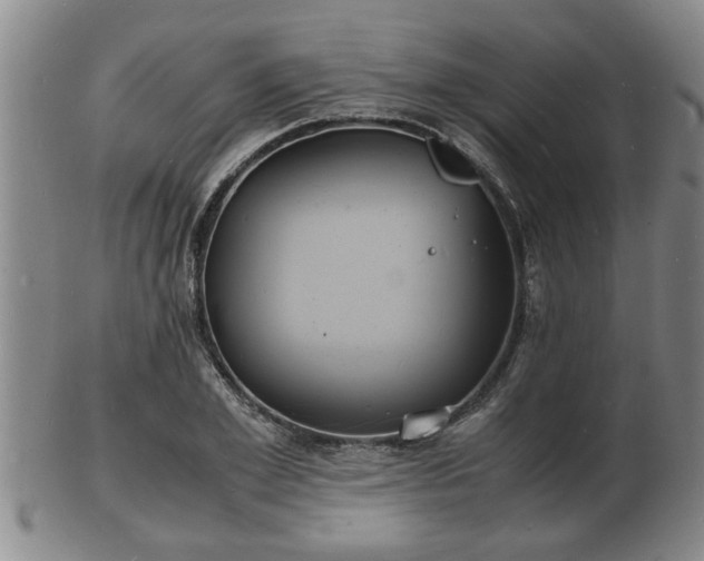 X0000103290981200809051455