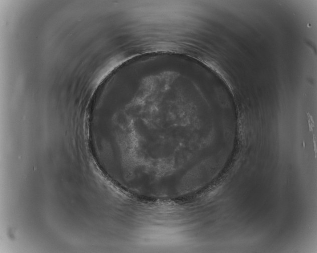 X0000103290983200809051455