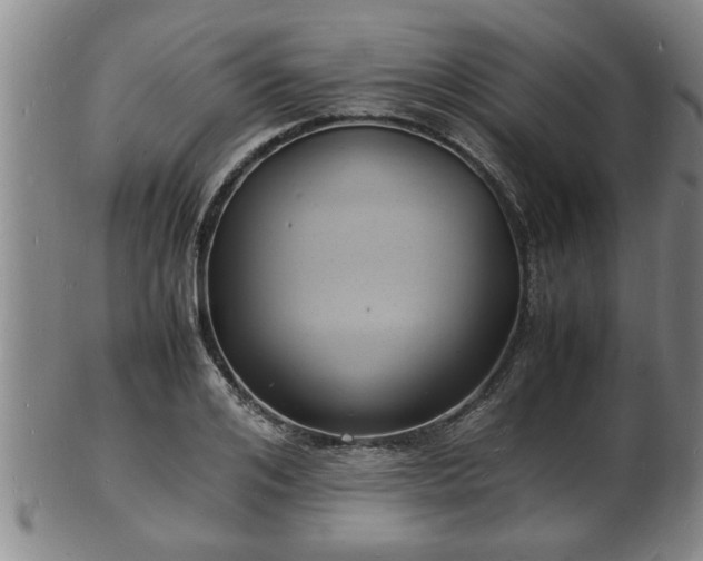 X0000103290984200809051455