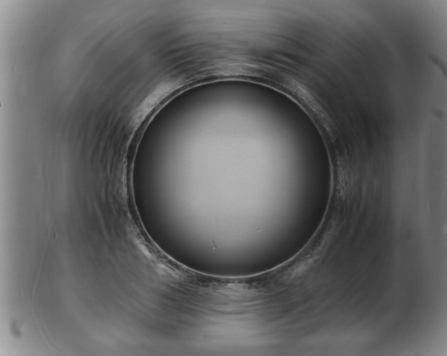 X0000103290986200809051455