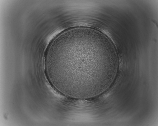 X0000103290987200809051455