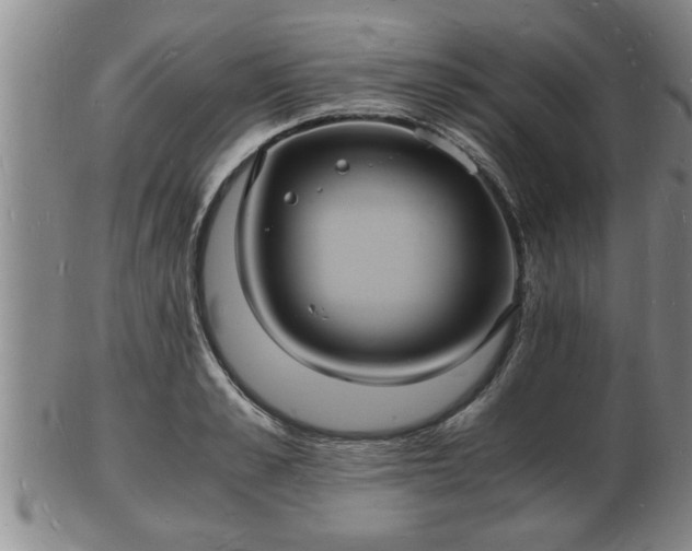 X0000103290989200809051455