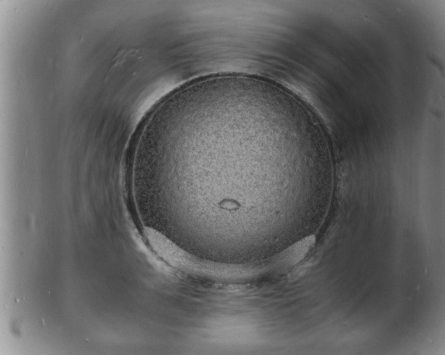 X0000103290991200809051455