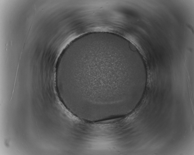 X0000103290992200809051455