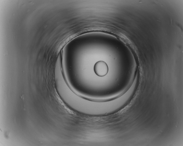 X0000103290993200809051455