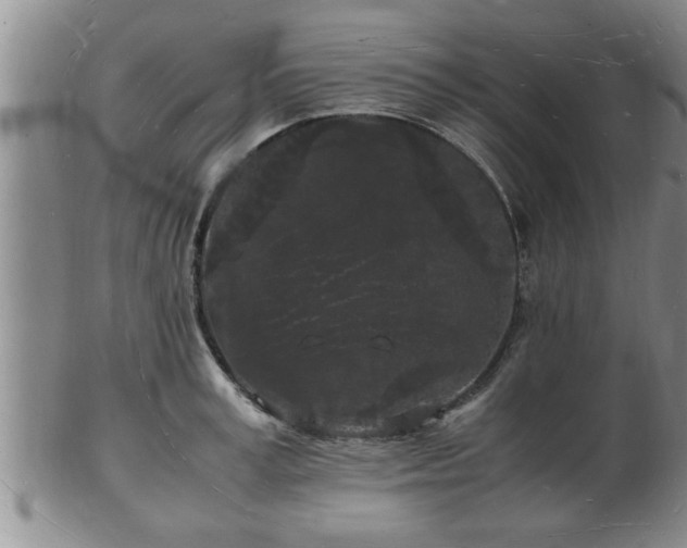 X0000103290995200809051455