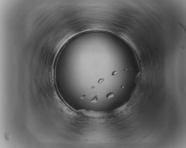 X0000103290996200809051455