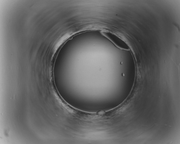 X0000103290997200809051455