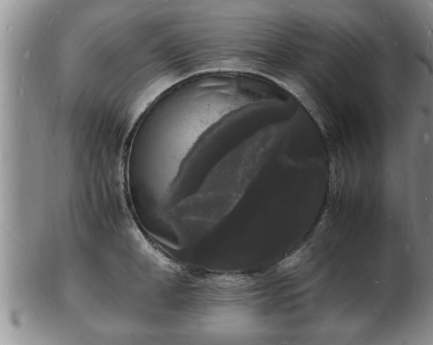 X0000103290998200809051455