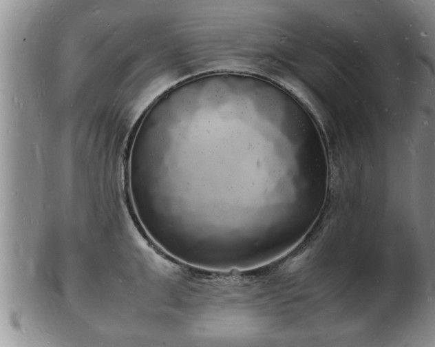 X0000103290999200809051455