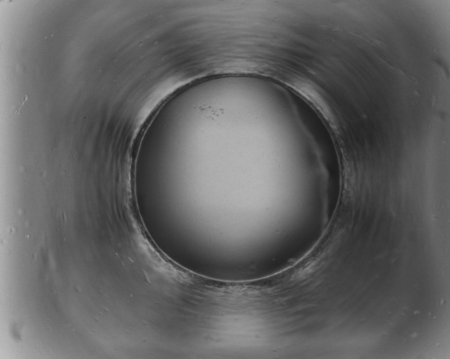 X0000103291000200809051455