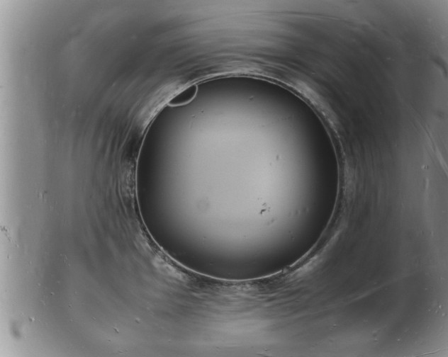 X0000103291001200809051455