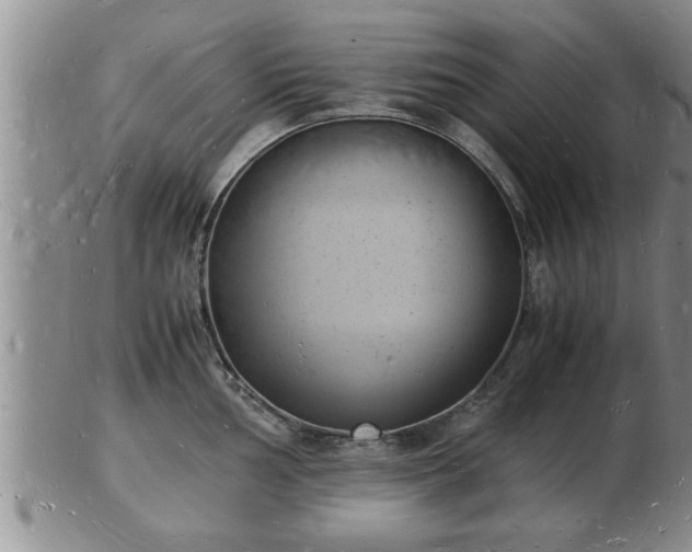 X0000103291002200809051455