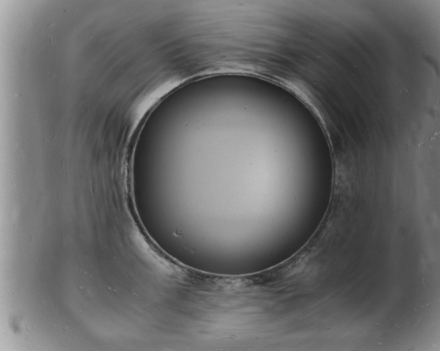 X0000103291003200809051455