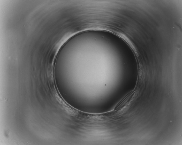 X0000103291004200809051455