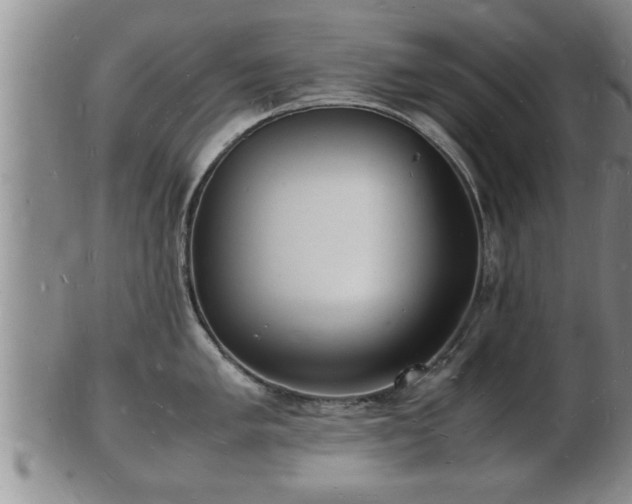 X0000103291005200809051455