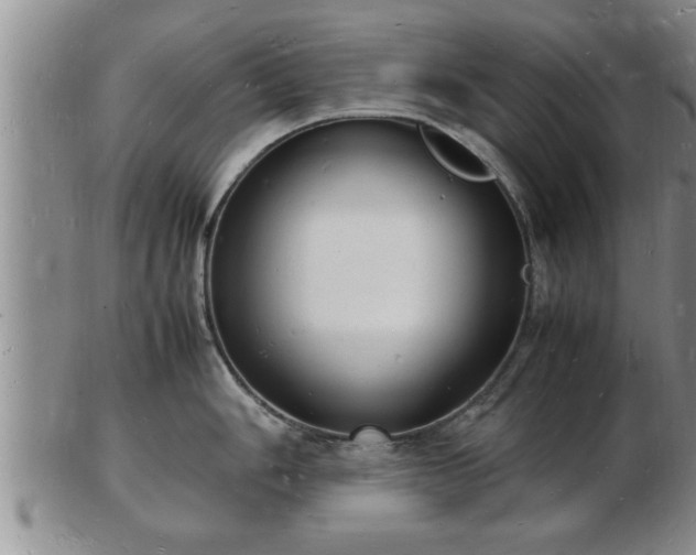 X0000103291006200809051455