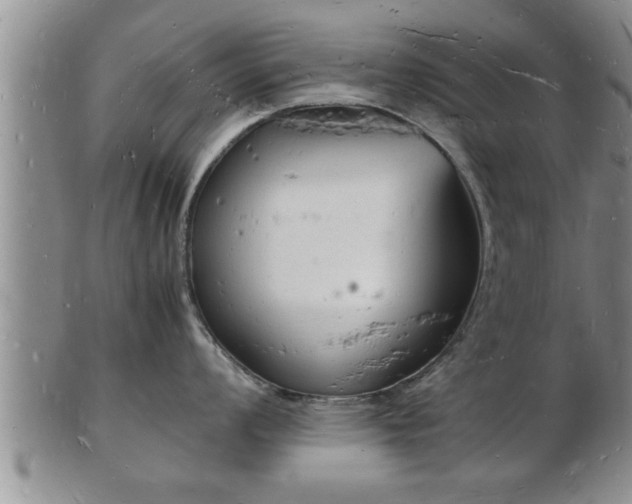 X0000103291008200809051455