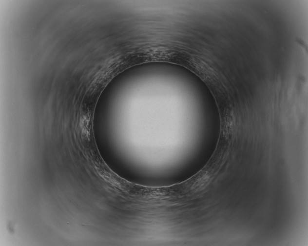 X0000103291010200809051454