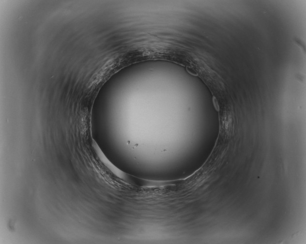 X0000103291012200809051454