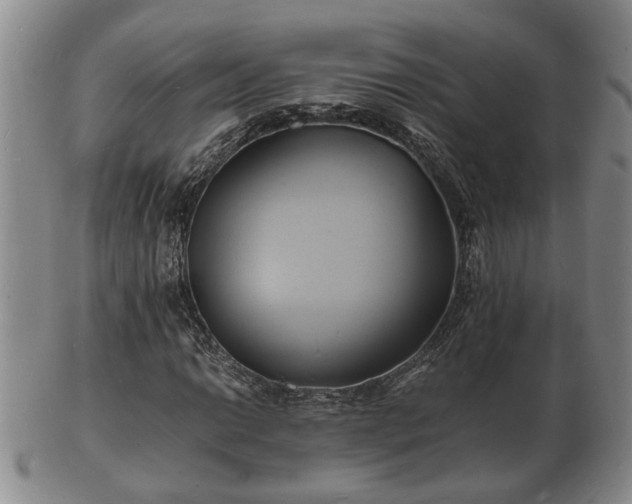 X0000103291014200809051454