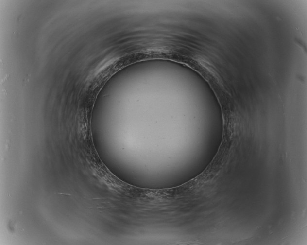 X0000103291015200809051454