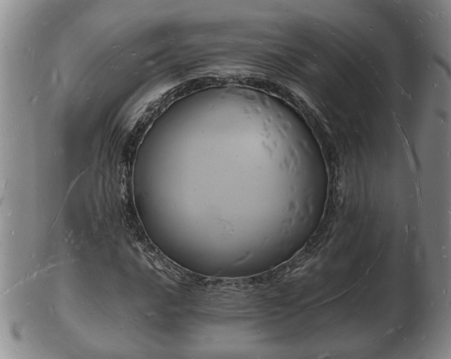 X0000103291016200809051454