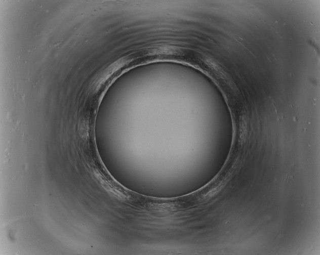 X0000103291017200809051454