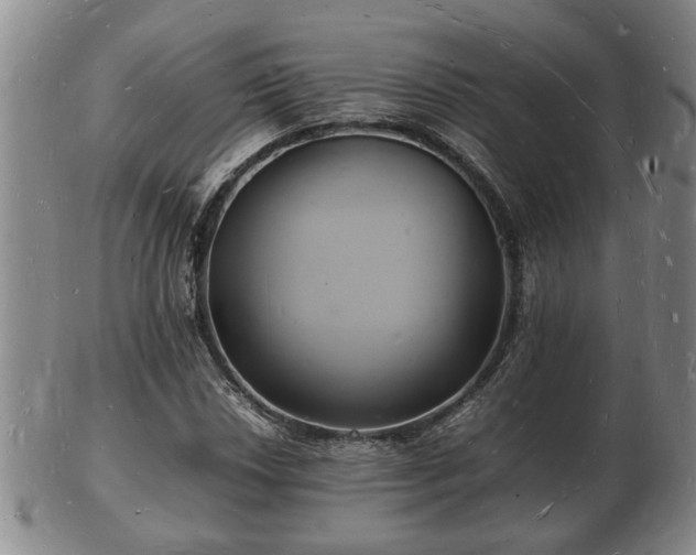 X0000103291018200809051454