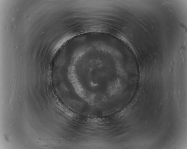 X0000103291019200809051454