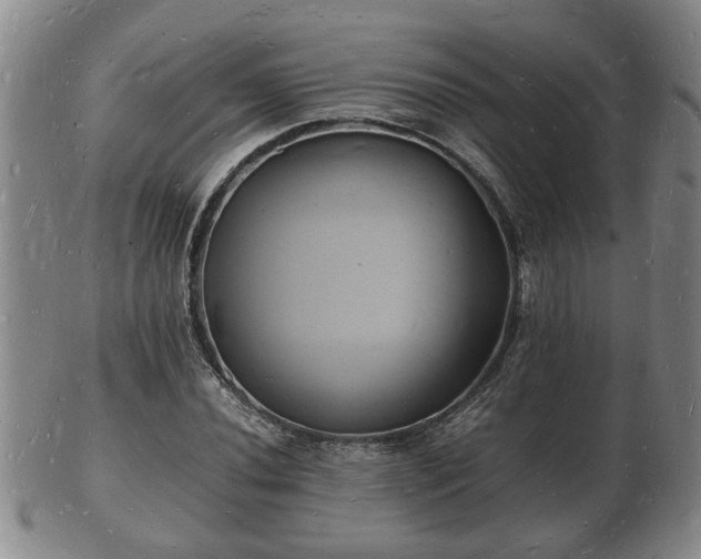 X0000103291020200809051454