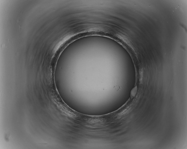 X0000103291021200809051455