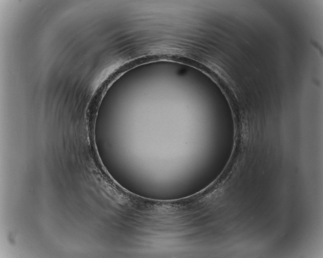 X0000103291022200809051455