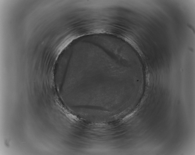 X0000103291023200809051455