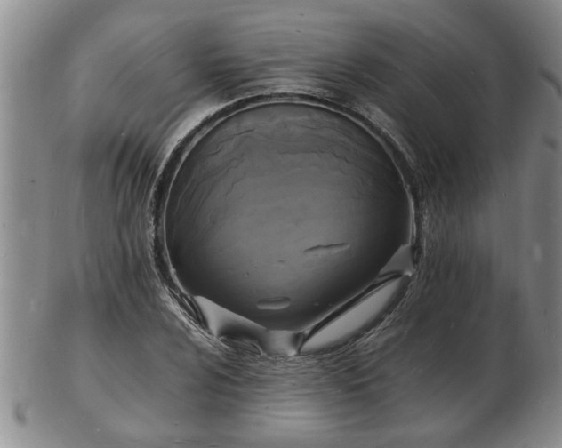 X0000103291024200809051455