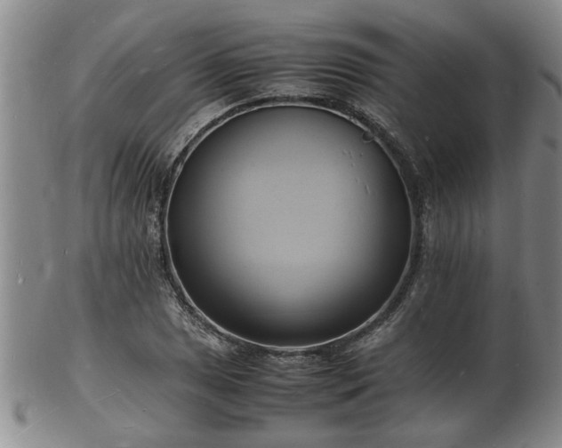 X0000103291025200809051455