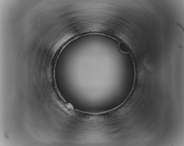 X0000103291026200809051455